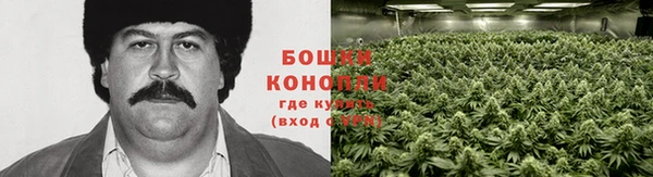 сатива Слюдянка