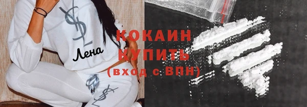 бошки Снежногорск