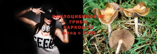 ГАЛЛЮЦИНОГЕННЫЕ ГРИБЫ Снежинск