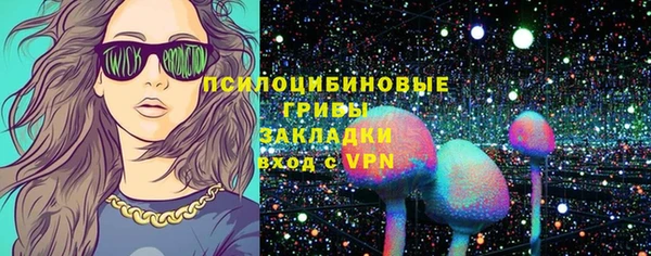 ГАЛЛЮЦИНОГЕННЫЕ ГРИБЫ Снежинск
