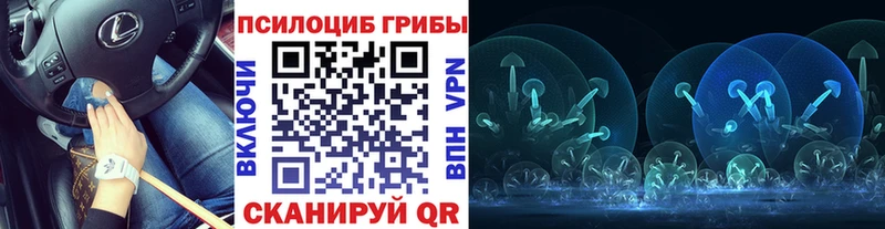 закладка  Горячеводский  Галлюциногенные грибы Magic Shrooms 